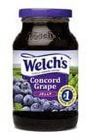 (12 pack) Welch's Concord Grape Jelly, 18 oz Jar