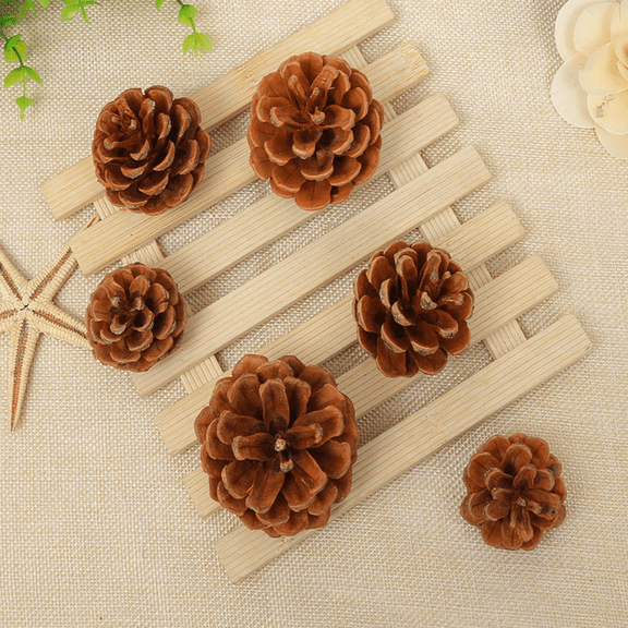 12 pcs Natural Pinecones in Bulk, Christmas Pinecones Ornaments for DIY Crafts, Christmas Tree, Fall Thanksgiving Home Decor 2-3cm Pinus
