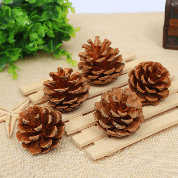 12 pcs Natural Pinecones in Bulk, Christmas Pinecones Ornaments for DIY Crafts, Christmas Tree, Fall Thanksgiving Home Decor 4-5cm Pinus