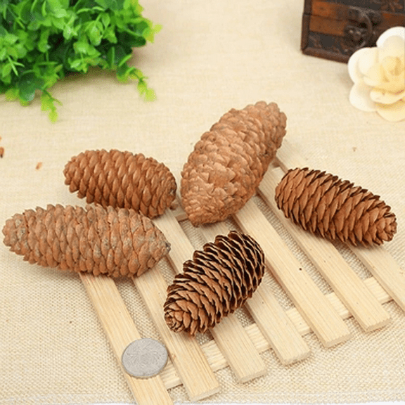 12 pcs Natural Pinecones in Bulk, Christmas Pinecones Ornaments for DIY Crafts, Christmas Tree, Fall Thanksgiving Home Decor 7-9cm long pine cones