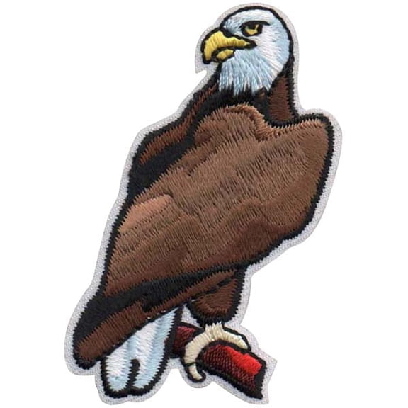 12 pieces 2" Custom Activity Scouts Applique Fun Patches - Eagle Patch