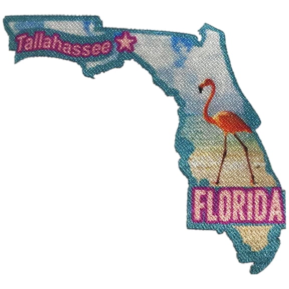 12 pieces 2" Custom Activity Scouts Applique Fun Patches - Florida Patch