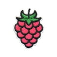 thumbnail image 1 of 12 pieces 2" Custom Activity Scouts Applique Fun Patches - Raspberry Segment Patch, 1 of 1