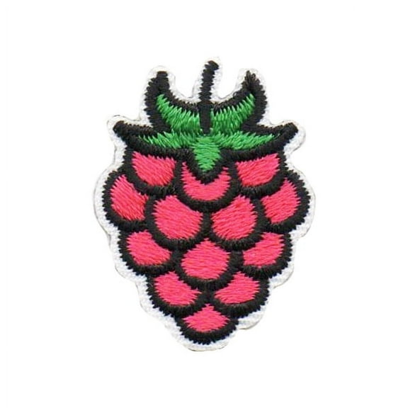 12 pieces 2" Custom Activity Scouts Applique Fun Patches - Raspberry Segment Patch