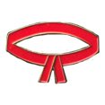 thumbnail image 1 of 12 pieces 2" Custom Activity Scouts Applique Fun Patches - Red Belt Pin, 1 of 1