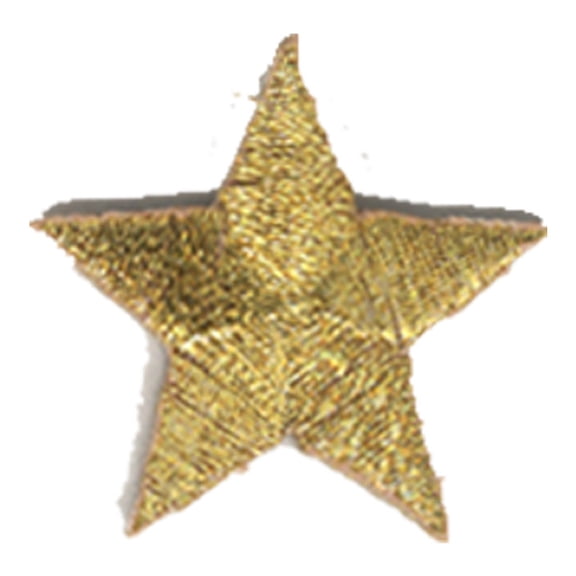 12 pieces 2" Custom Activity Scouts Applique Fun Patches - Star – Gold Metallic Patch
