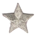 thumbnail image 1 of 12 pieces 2" Custom Activity Scouts Applique Fun Patches - Star – Silver Metallic Patch, 1 of 1