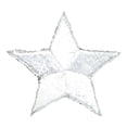 thumbnail image 1 of 12 pieces 2" Custom Activity Scouts Applique Fun Patches - Star – White Patch, 1 of 1