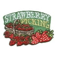 thumbnail image 1 of 12 pieces 2" Custom Activity Scouts Applique Fun Patches - Strawberry Picking Patch 1, 1 of 1