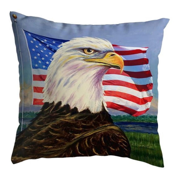 12 x 12 in. Eagle & Flag Non-Corded Pillow - Small