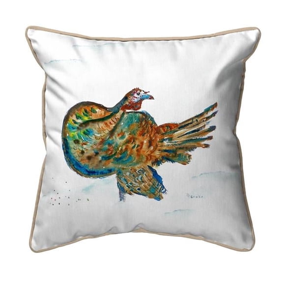 12 x 12 in. Turkey Small Indoor & Outdoor Pillow