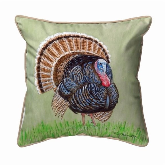 12 x 12 in. Wild Turkey Small Indoor & Outdoor Pillow