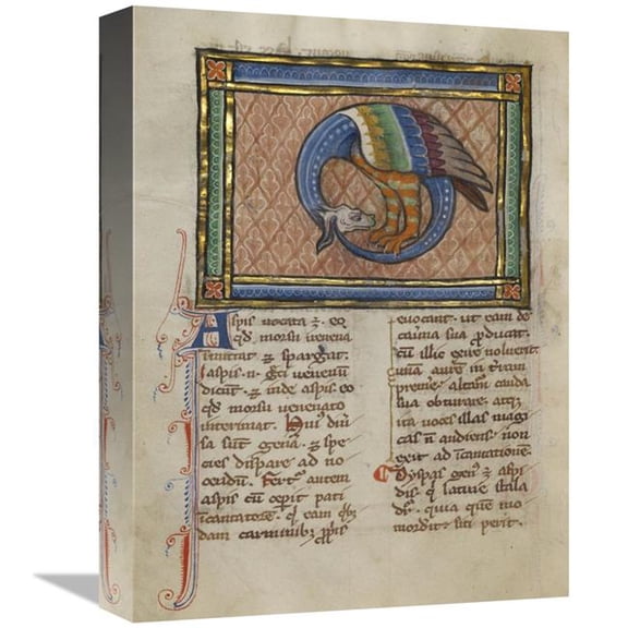 12 x 16 in. A Dragon-like Snake Art Print - Franco-Flemish 13th Century