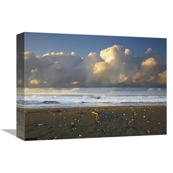 12 x 16 in. Beach & Waves, Corcovado National Park, Costa Rica Art Print - Tim Fitzharris