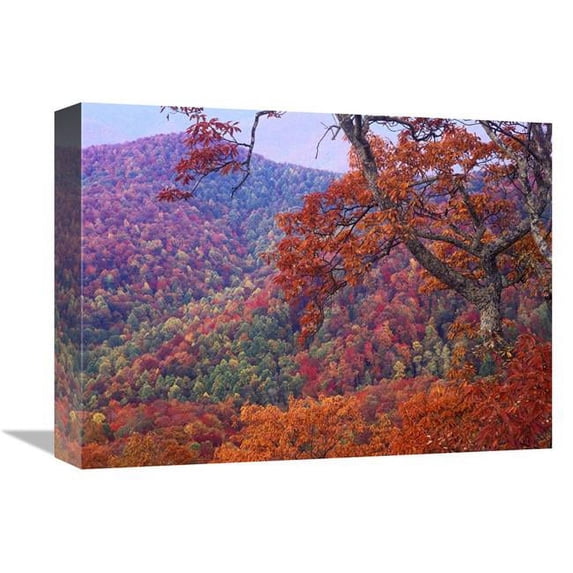12 x 16 in. Blue Ridge Range with Autumn Deciduous Forest, Near Buck Creek Gap, North Carolina Art Print - Tim Fitzharris