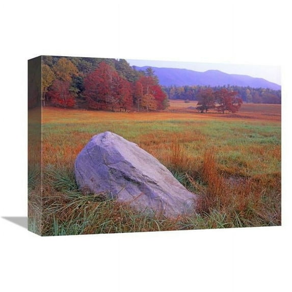 12 x 16 in. Boulder & Autumn Colored Deciduous Forest, Cades Cove, Great Smoky Mountains National Park, Tennessee Art Print - Tim Fitzharris