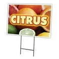 thumbnail image 1 of 12 x 16 in. Citrus Yard Sign & Stake, 1 of 1