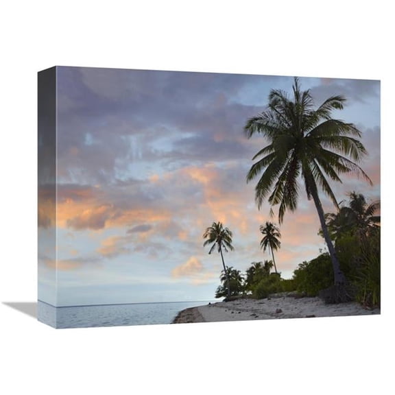 12 x 16 in. Coconut Palm Trees, Pamilacan Island, Bohol Island, Philippines Art Print - Tim Fitzharris