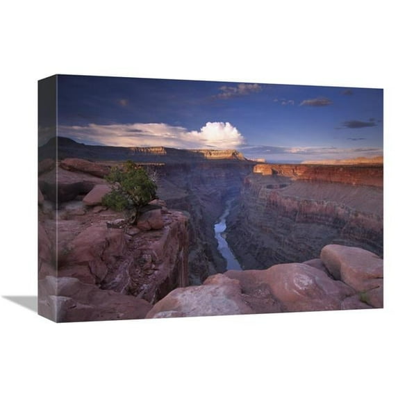 12 x 16 in. Colorado River From Toroweap Overlook, Grand Canyon National Park, Arizona Art Print - Tim Fitzharris
