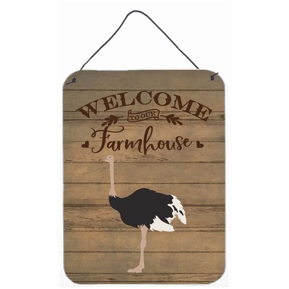 12 x 16 in. Common Ostrich Welcome Wall or Door Hanging Prints