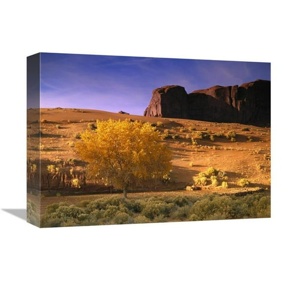 12 x 16 in. Cottonwood Tree & Coyote Bush with Sand Dunes, Monument Valley, Arizona Art Print - Tim Fitzharris