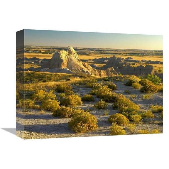 12 x 16 in. Coyote Bush & Eroded Features Bordering Grasslands, Badlands National Park, South Dakota Art Print - Tim Fitzharris