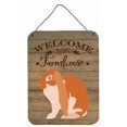 thumbnail image 1 of 12 x 16 in. English Lop Rabbit Welcome Wall or Door Hanging Prints, 1 of 1