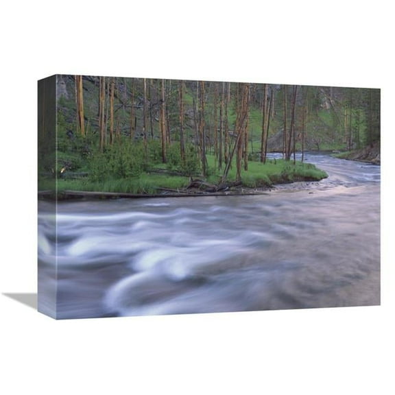 12 x 16 in. Gibbon River Rapids Popular River for Trout Fishing, Yellowstone National Park, Wyoming Art Print - Tim Fitzharris