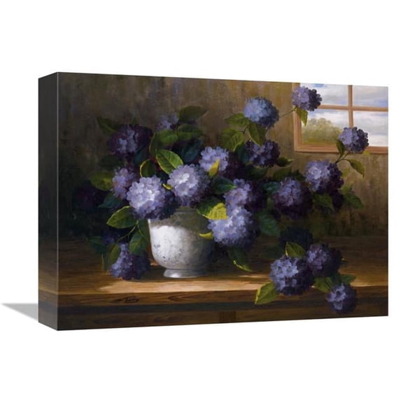 12 x 16 in. Hydrangea Blossoms II Art Print - Welby