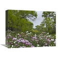 thumbnail image 1 of 12 x 16 in. Long Pricklyhead Poppy Field Near Christine, Texas Art Print - Tim Fitzharris, 1 of 1