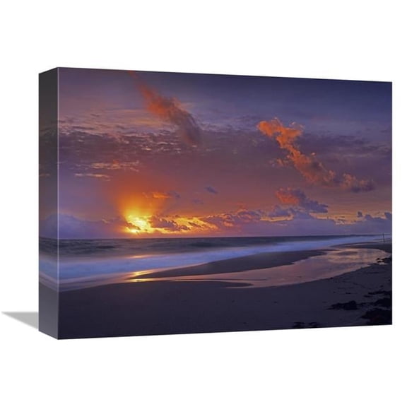 12 x 16 in. Mcarthur Beach at Sunrise, Florida Art Print - Tim Fitzharris