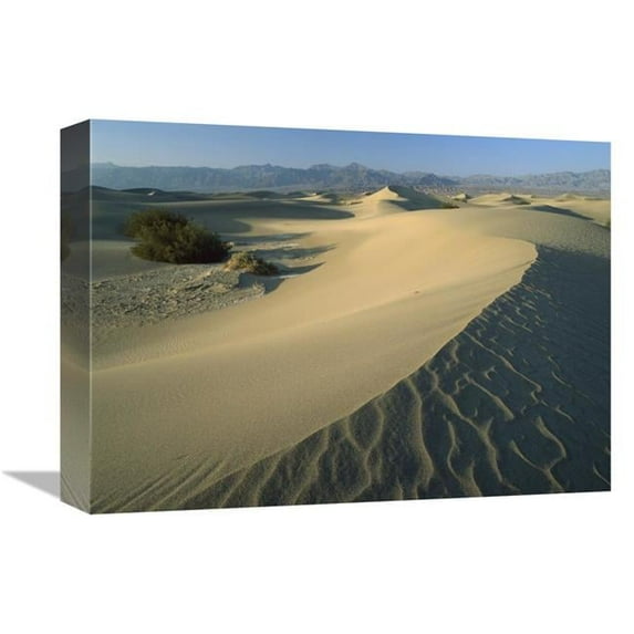 12 x 16 in. Mesquite Flat Sand Dunes, Death Valley National Park, California Art Print - Tim Fitzharris