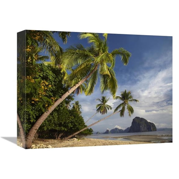 12 x 16 in. Palm Trees, Pinagbuyutan Island, Palawan, Philippines Art Print - Tim Fitzharris