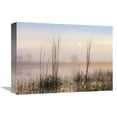 thumbnail image 1 of 12 x 16 in. Reeds in Sweet Bay Pond, Everglades National Park, Florida Art Print - Tim Fitzharris, 1 of 1