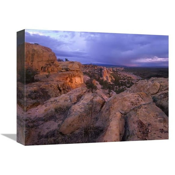 12 x 16 in. Rocky Outcroppings in El Malpais National Monument, New Mexico Art Print - Tim Fitzharris