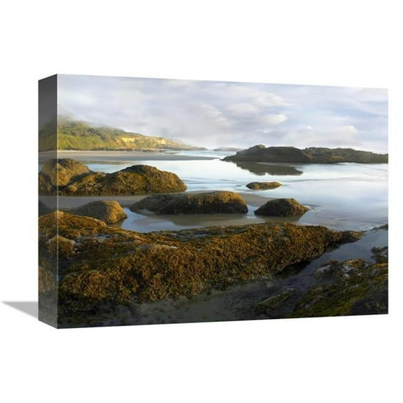 12 x 16 in. Seaweed Covered Rocks Exposed at Low Tide, Neptune Beach, Oregon Art Print - Tim Fitzharris