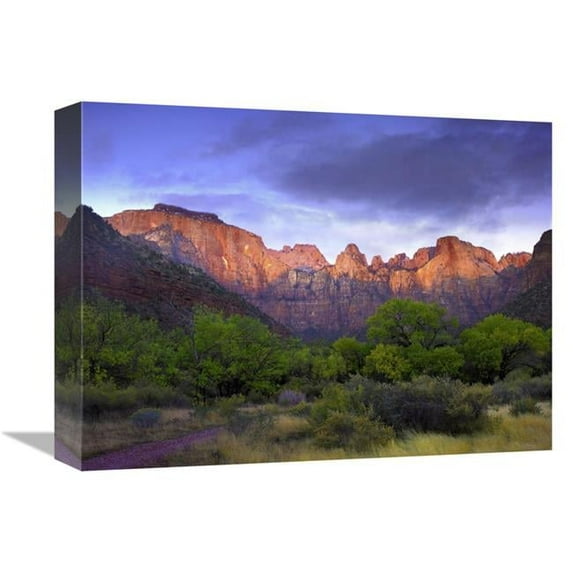12 x 16 in. Towers of the VIrgin, Zion National Park, Utah Art Print - Tim Fitzharris