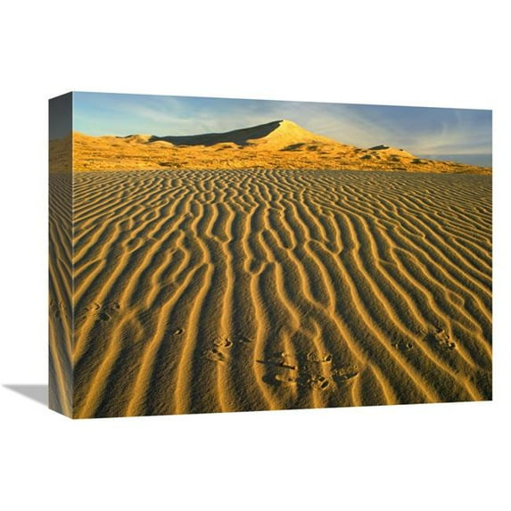12 x 16 in. Wind Ripples in Kelso Dunes, Mojave National Preserve, California Art Print - Tim Fitzharris