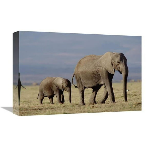 12 x 18 in. African Elephant Mother & Calf, Kenya Art Print - Tim Fitzharris
