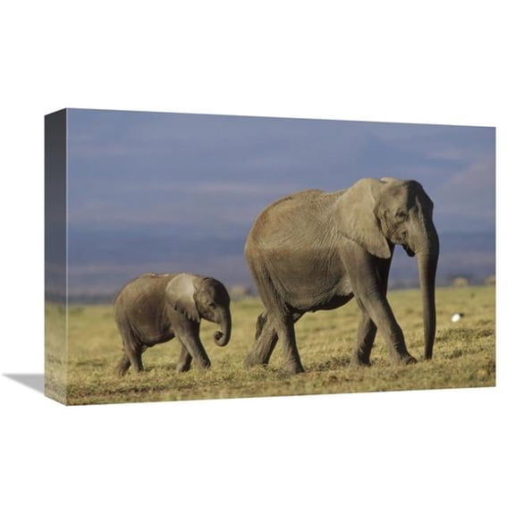 12 x 18 in. African Elephant Mother Leading Calf, Kenya Art Print - Tim Fitzharris