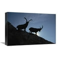 thumbnail image 1 of 12 x 18 in. Alpine Ibex Pair Silhouetted on Cliff, Aosta Valley, Italy Art Print - Konrad Wothe, 1 of 1