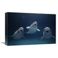 thumbnail image 1 of 12 x 18 in. Beluga Whale Trio Calling, Vulnerable, Shimane Aquarium, Japan Art Print - Hiroya Minakuchi, 1 of 1