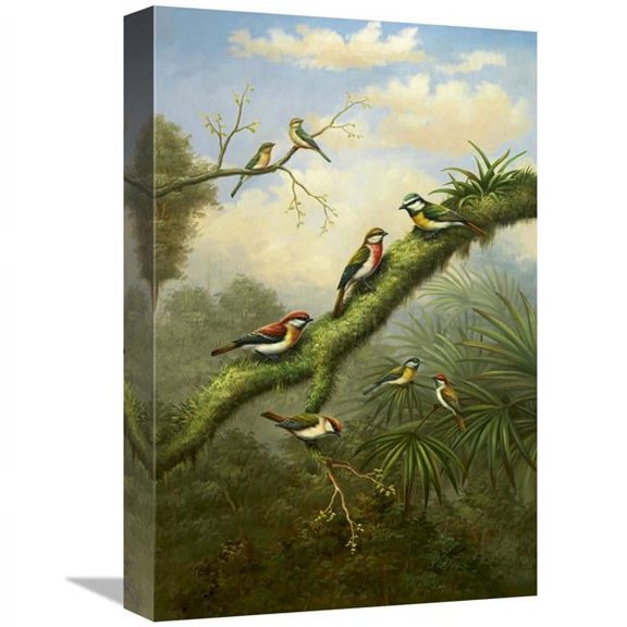 12 x 18 in. Birds of Plenty Art Print - Bilben