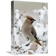 thumbnail image 1 of 12 x 18 in. Bohemian Waxwing, Harderwijk, Netherlands Art Print - Jan Vermeer, 1 of 1