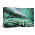thumbnail image 1 of 12 x 18 in. Bottlenose Dolphin Pair Underwater, Hawaii Art Print - Flip Nicklin, 1 of 1