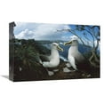 thumbnail image 1 of 12 x 18 in. Bullers Albatrosses on Storm-Lashed Cliffs, Snares Islands, New Zealand Art Print - Tui De Roy, 1 of 1