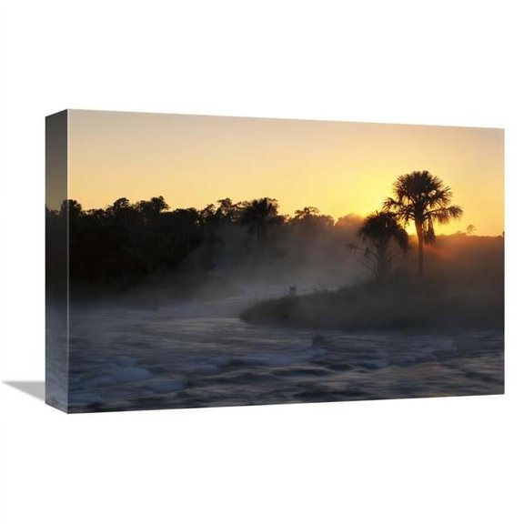 12 x 18 in. Buriti Palm Gallery Forest Along Formoso River, Emas National Park, Brazil Art Print - Tui De Roy