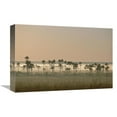 thumbnail image 1 of 12 x 18 in. Buriti Palm Gallery Forest At Dawn, Emas National Park, Brazil Art Print - Tui De Roy, 1 of 1