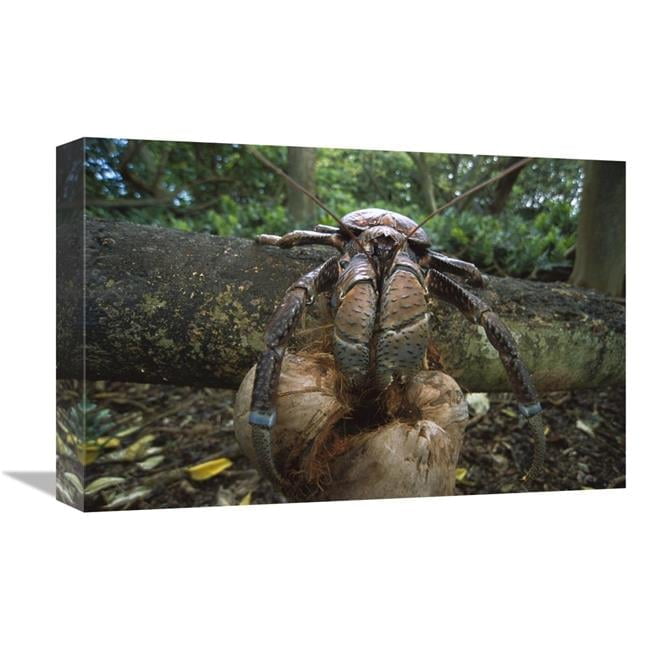 12 x 18 in. Coconut Crab Eating, Palmyra Atoll NWR, US Line Islands Art ...
