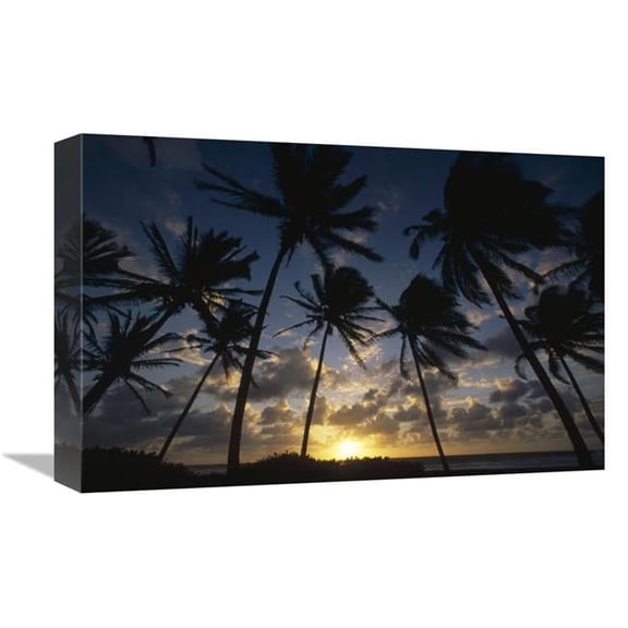 12 x 18 in. Coconut Palm Trees At Sunrise, St VIncent Island, Lesser Antilles Art Print - Gerry Ellis